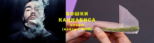 крисы Армянск