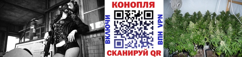 ОМГ ОМГ как войти  Куса  Бошки Шишки VHQ 
